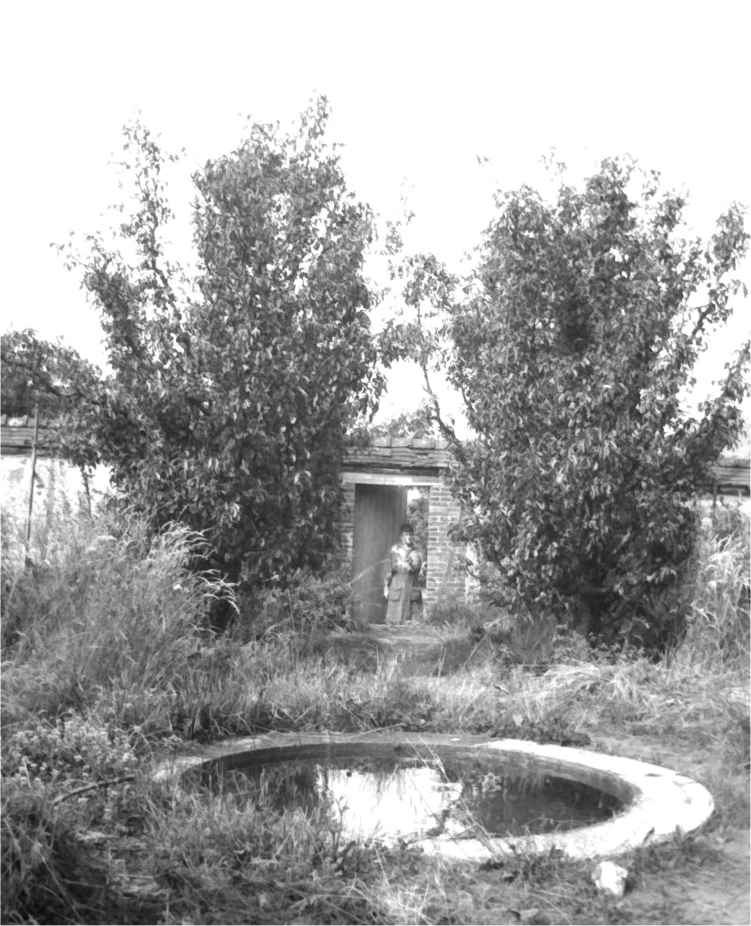 1919_NLaF_Pool